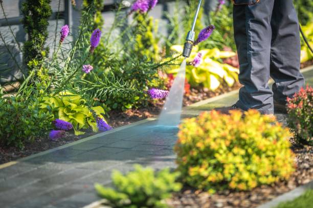 Best Dumpster Area Cleaning  in Lakewood, NY